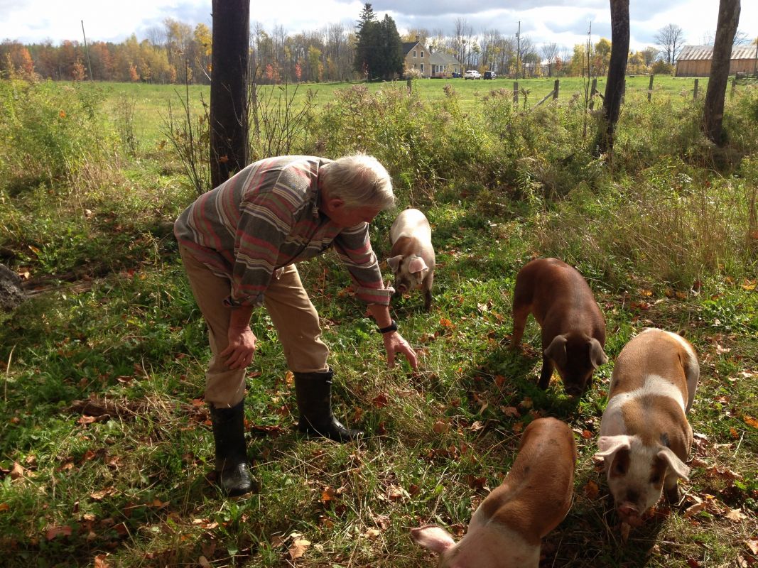 Pasture Pork Pasture Pork Ontario