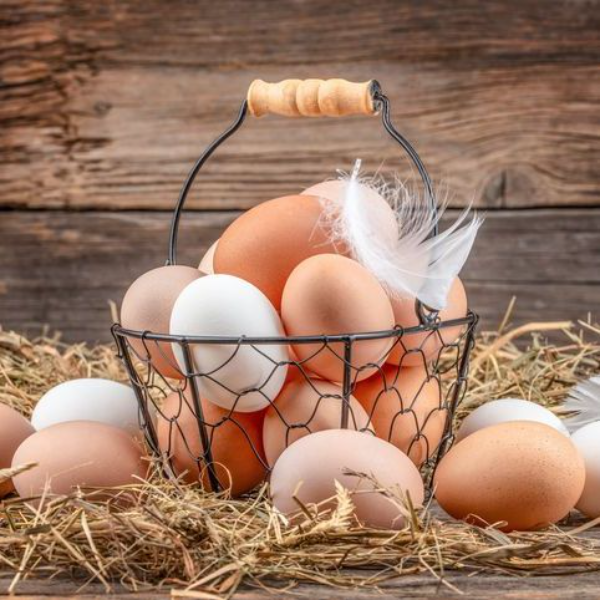 Chickens Eggs Rich in Omega 3's  (20 Eggs per carton)